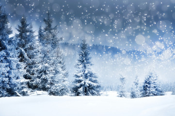 Christmas background with snowy fir trees