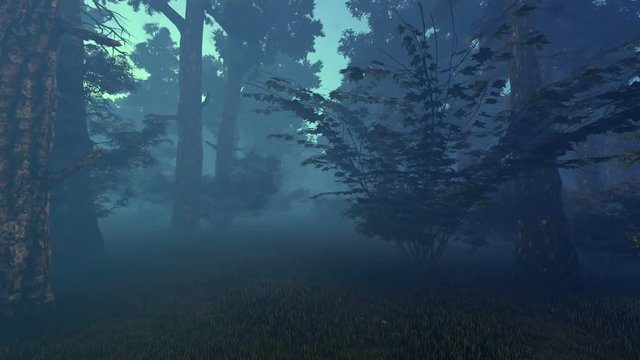 Long camera track through a dark forest. 3d animation