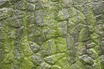 Moss growing on stone wall