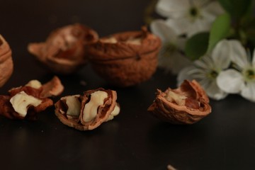 Walnut