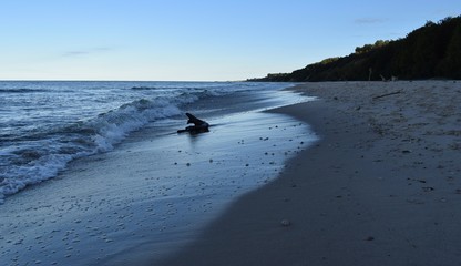 Fale morskie na plaży Rozewie © Robert Bobela