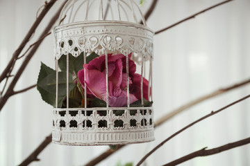 flower in the bird cage