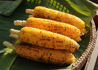grilled corn on banana leaf in wicker basket
