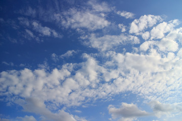 秋雲