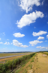 Fototapeta premium 青空と岡山空港