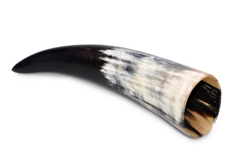 Trinkhorn Rinderhorn