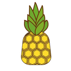 pineapple fresh fruit isolated icon vector illustration design