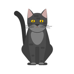 Black cat with yellow eyes