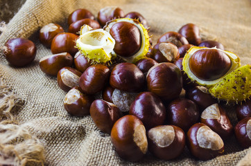 Obraz premium many chestnut closeup