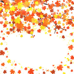 Autumn banner template with blank space for your text. Seasonal fall poster with red, orange, brown and yellow falling leaves with watercolor splash on white background. Colorful vector illustration.