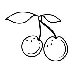 cherry fresh fruit isolated icon vector illustration design