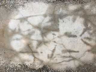 Cement floor background