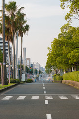 View of  road in city with palm trees.