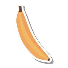 banana tropical fruit icon vector illustration design