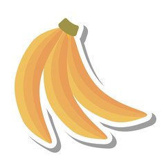 banana tropical fruit icon vector illustration design