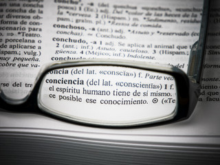 Definición de la palabra conciencia