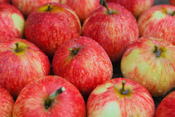Fototapeta na wymiar Sweet fresh ripe red apple harvest background