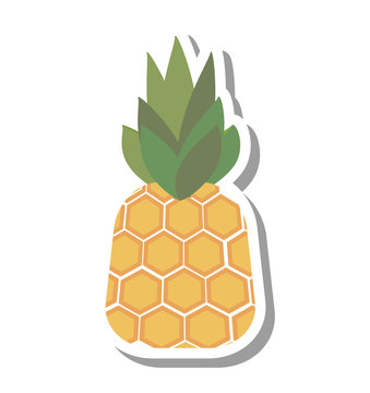 pineapple fresh fruit isolated icon vector illustration design