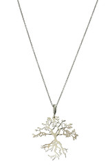 Silver chain with pendant on white background