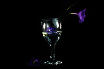Purple flowers in a glass of water against a black background.