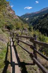 Fototapeta na wymiar Hiking trail, Vinschgau, South Tyrol, Italy