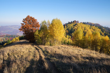 Fototapeta premium Autumn landscape with a road in the dry grass