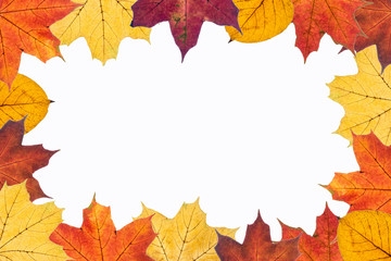Naklejka na ściany i meble autumn leaves on white background. Image with copy space.