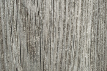 Texture of wood, old board