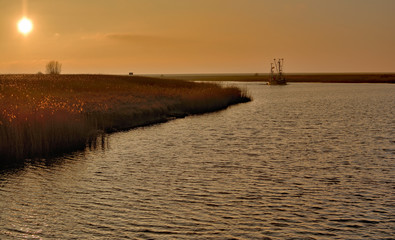 Fototapeta premium heimkehrender Krabbenkutter im Leyhörner Sieltief bei Greetsiel,Ostfriesland,Nordsee,Deutschland
