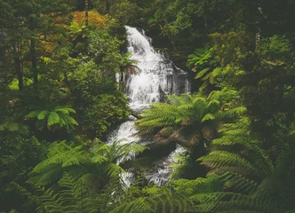 Keuken foto achterwand Jungle Triplet Falls im Great Otway National Park in Victoria, Australië