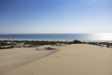 Patara
