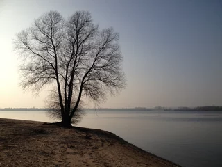 Foto auf Leinwand Eenzame boom op een verlaten eiland met een zonsondergang © Carmela