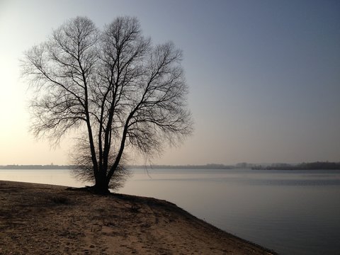 Eenzame boom op een verlaten eiland met een zonsondergang