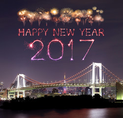 2017 New Year Fireworks over Tokyo Rainbow Bridge at Night, Odai