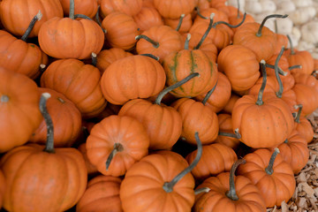 Herbstlicher Kürbismarkt