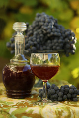 Homemade wine from grapes. Decanter, glass, grapes  photographed against the background of the vine. 