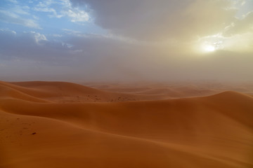 Fototapeta na wymiar upcoming sandstorm in the sahara at erfoud
