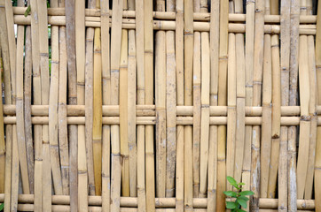 bamboo wall