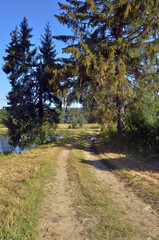 droga  © wedrownik52