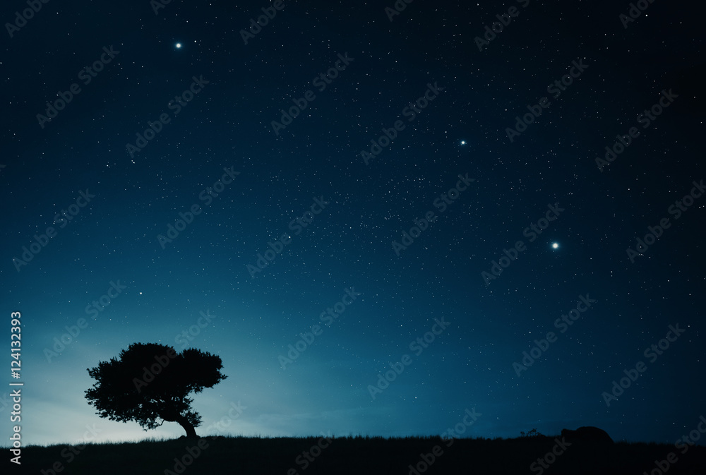 Wall mural night sky landscape with starry sky and lonely tree on top of a hill