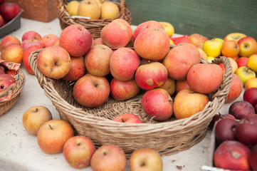 Korb mit verschiedenen Bio-Äpfeln vom Bauernmarkt