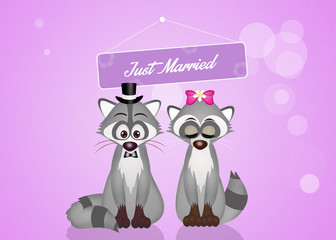 Marriage of raccoons © adrenalinapura