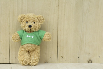 Teddy bears standing on the wooden floor,
