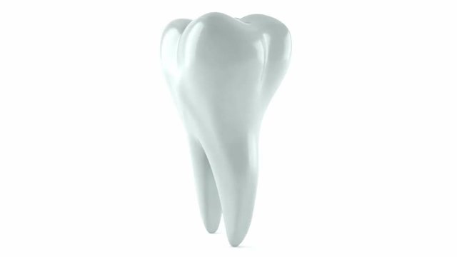 Tooth rotating on white background