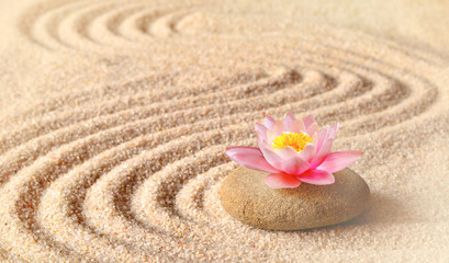 Fototapeta na wymiar Sand, flower lily and spa stones in zen garden