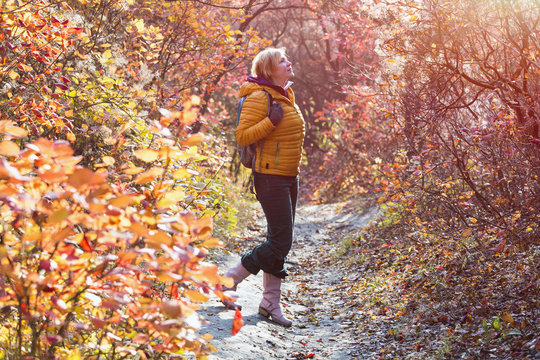 Girl watching up on Weekend Walk in autumnal Forest