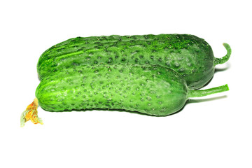Two fresh cucumber