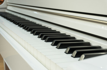 Naklejka premium Klavier4