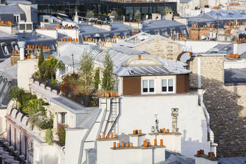 Les toits de Paris depuis Haussmann