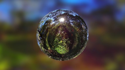 Forest and Sunbeam in Sphere